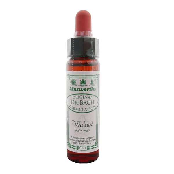 Ainsworths Walnut Bach Flower Remedy 10ml Homeopathy Express