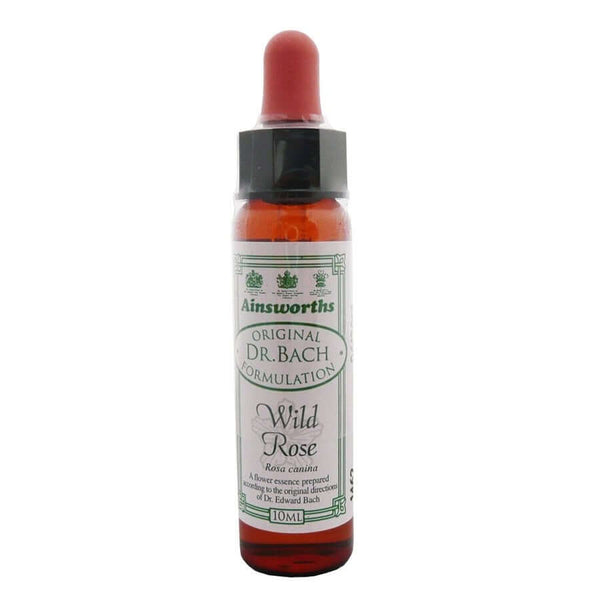 Ainsworths Wild Rose Bach Flower Remedy 10ml Homeopathy Express