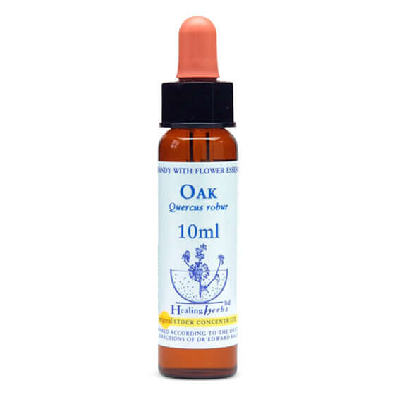 Healing Herbs Oak Bach Flower Remedy 10ml. Homeopathy Express