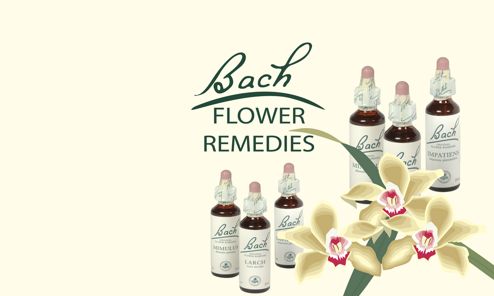 Bach Flower Remedies from Homeopathy Express, UK