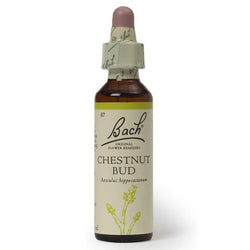 Bach Original Flower Remedies Chestnut Bud 20ml