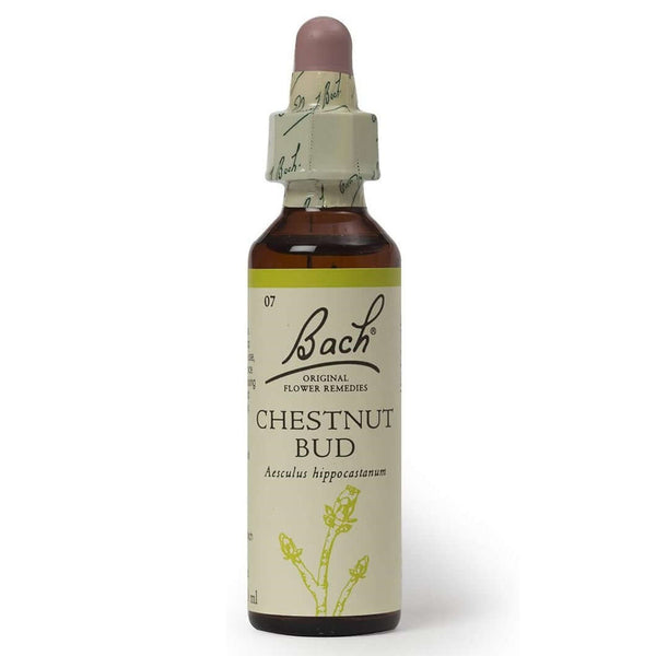 Bach Original Flower Remedies Chestnut Bud 20ml