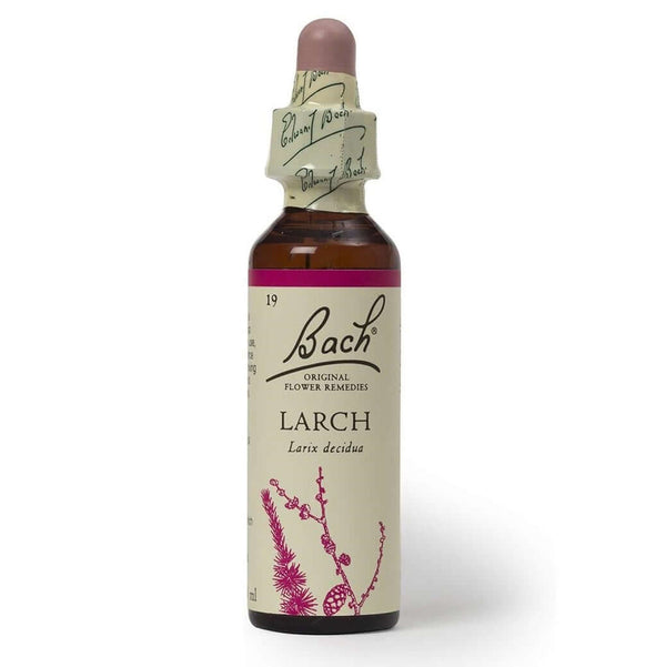 Bach Original Flower Remedies Larch 20ml