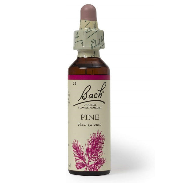 Bach Original Flower Remedies Pine 20ml
