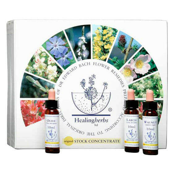 Healing Herbs Bach Flower Remedies Set