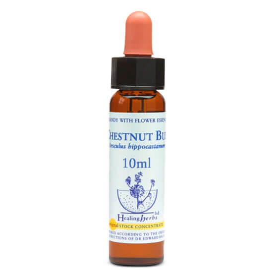 Healing Herbs Chestnut Bud Bach Flower Remedy 10ml