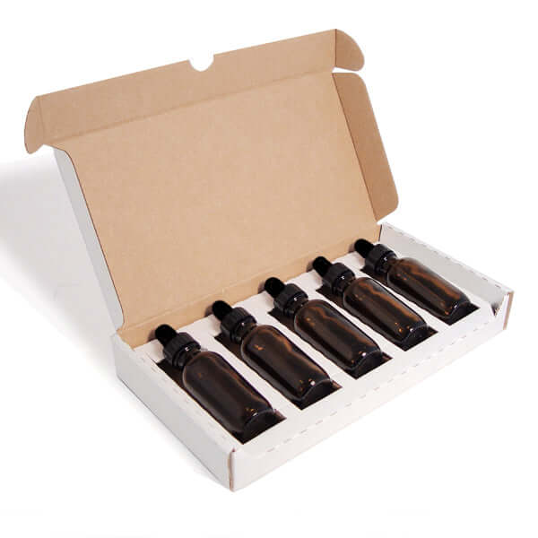 Top Practitioner Storage Boxes for Organization – Homeopathy Express