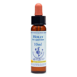 Healing Herbs Holly Bach Flower Remedy 10ml