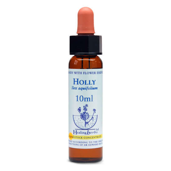 Healing Herbs Holly Bach Flower Remedy 10ml