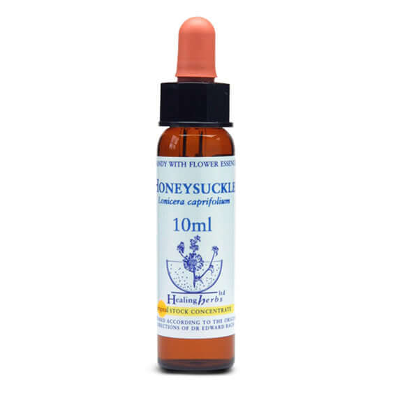 Healing Herbs Honeysuckle Bach Flower Remedy 10ml