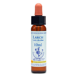 Healing Herbs Larch Bach Flower Remedy 10ml
