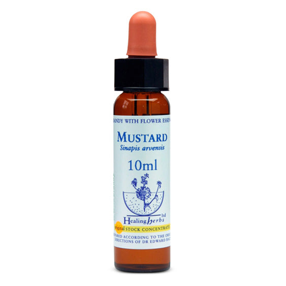 Healing Herbs Mustard Bach Flower Remedy 10ml