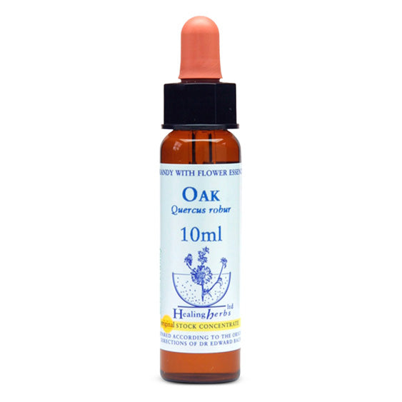 Healing Herbs Oak Bach Flower Remedy 10ml