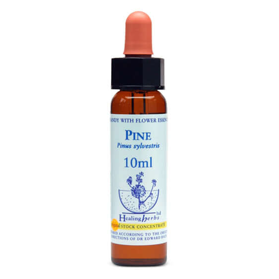 Healing Herbs Pine Bach Flower Remedy 10ml