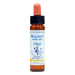 Healing Herbs Walnut Bach Flower Remedy 10ml