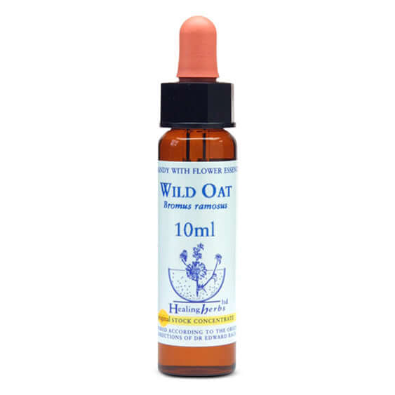 Healing Herbs Wild Oat Bach Flower Remedy 10ml