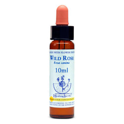 Healing Herbs Wild Rose Bach Flower Remedy 10ml