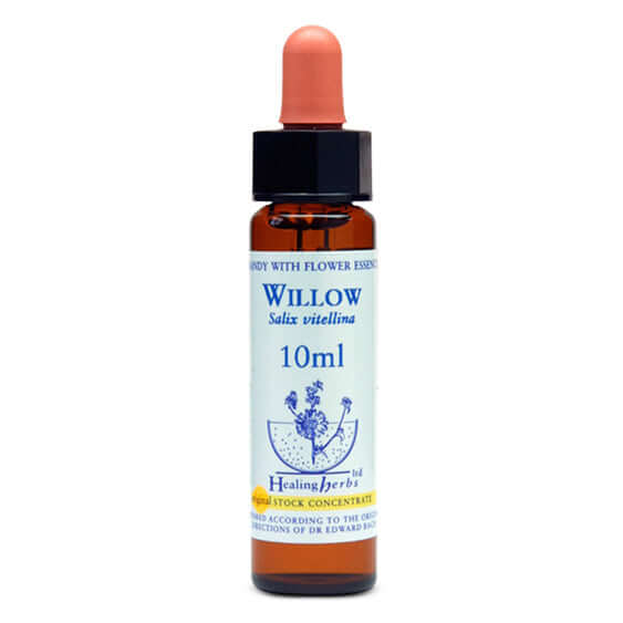 Healing Herbs Willow Bach Flower Remedy 10ml