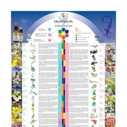 The Bach Flower Identifier - English Poster