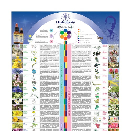 The Bach Flower Identifier - English Poster